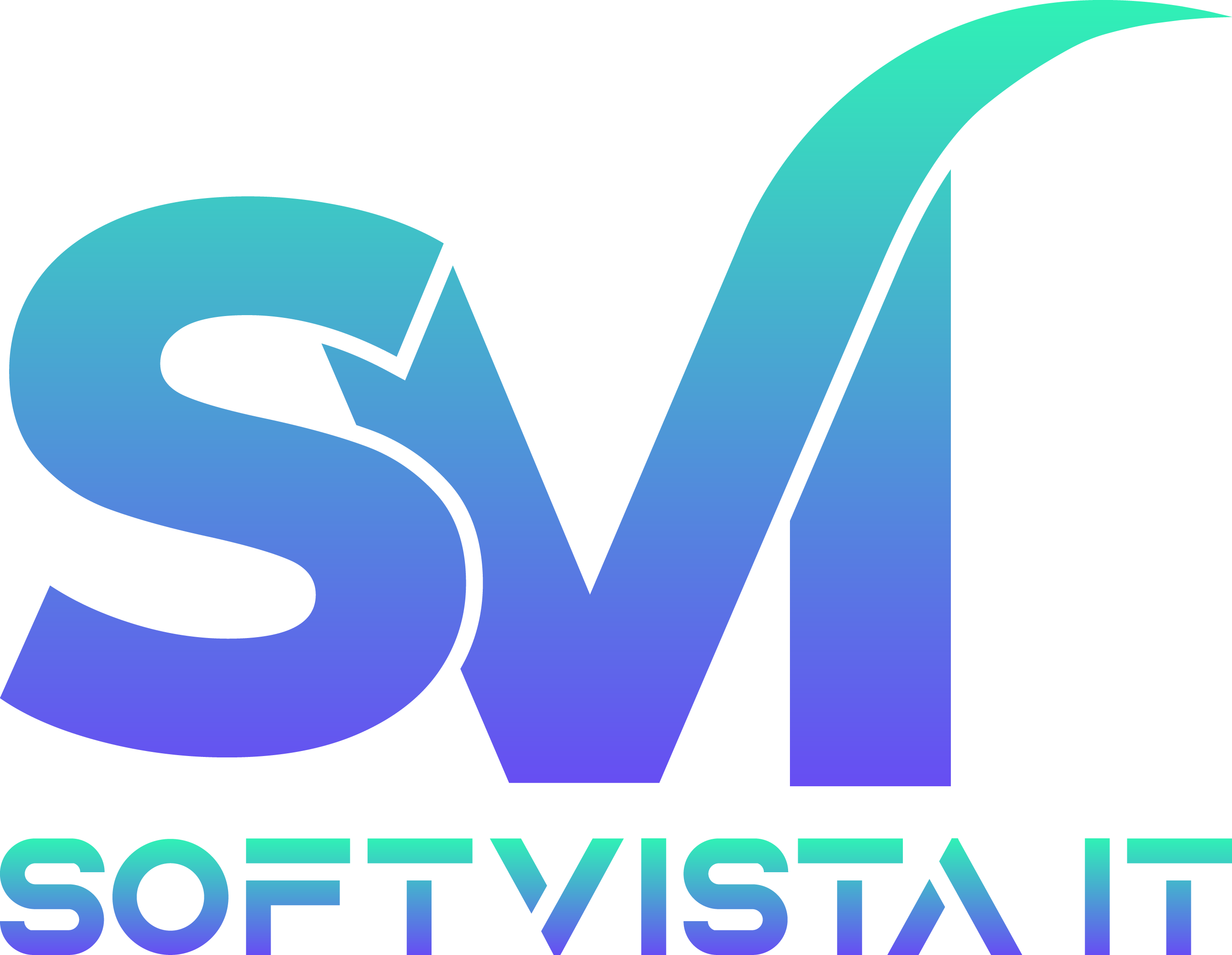 SoftVista IT